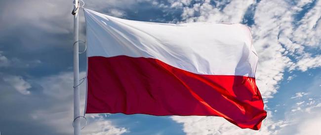 Polish Flag Polska Flaga